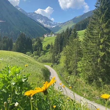 Alpin Haus Apartment Berwang